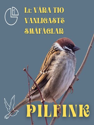 cover image of Pilfink